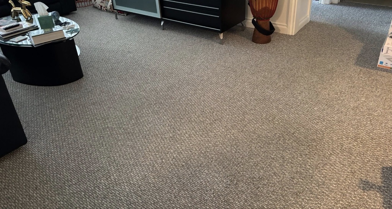 Deep-cleaned patterned carpet in a living room